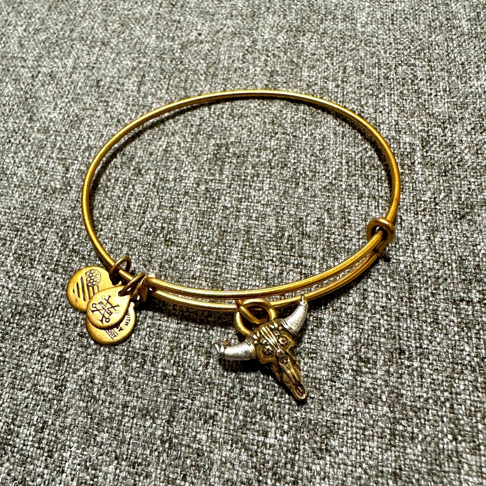 Alex & Ani Spirited Skull Bracelet -Used